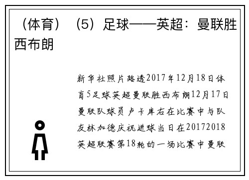 （体育）（5）足球——英超：曼联胜西布朗